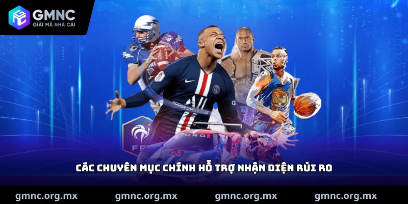 Các chuyên mục chính hỗ trợ nhận diện rủi ro