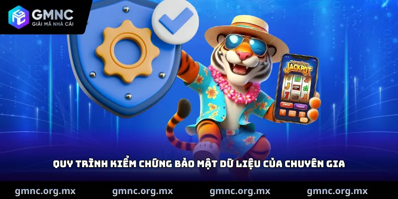 Quy trình kiểm chứng bảo mật dữ liệu của chuyên gia