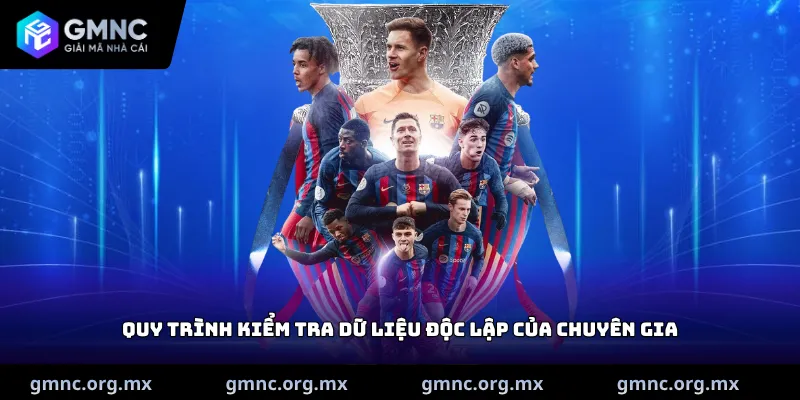 Quy trình kiểm tra dữ liệu độc lập của chuyên gia