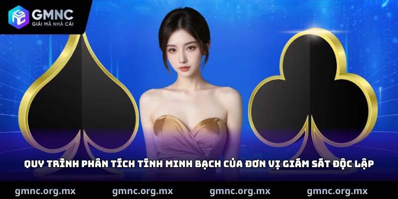 Quy trình phân tích tính minh bạch của đơn vị giám sát độc lập